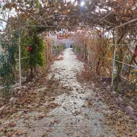 باغبان مجرب