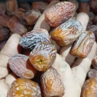 اینجا همیشه خرما هست