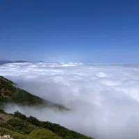 تور جنگل ابر شاهرود