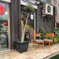 ۲ عدد گل مورت طبیعی