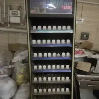 استند