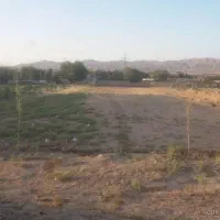 زمین-مناسب-کاشت-پسته