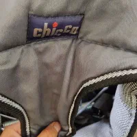 تاب شورتی چیکو