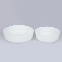 سرویس 2 پارچه کاسه اوپال دینو مدل آون 403500 تومان