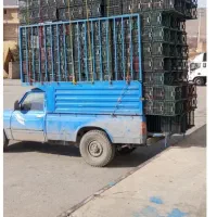 خرید سبد میوه و کارتون موزی