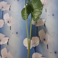 گل طبیعی بابا آدم  و برگ انجیری