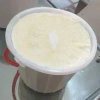 شیر و ماست و پنیر گوسفندی