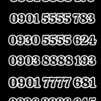 09019999128