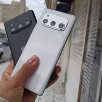 داریا باند پک امارات