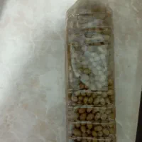 کشمش غوره