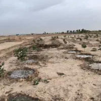 باغچه با درختان پسته
