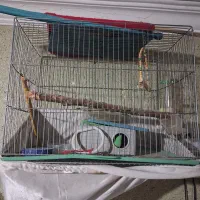 قفس پرنده