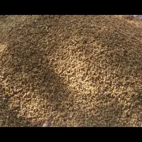 توت خشک درجه یک قره داغ