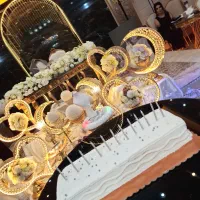 دیجی زیبا خانم خواننده حرفه ای با چندین سال سابقه