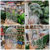 شیشه عروسک گلدان شیشه ای دو تیکه فیکوس قاشقی یاس