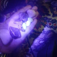 چراغ قوه uv نو با چند عدد سنگ یشم سبز وسنگ شب نما