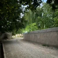 زمین 250 متری کردان موقیعت عالی