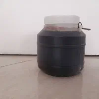 رب انار