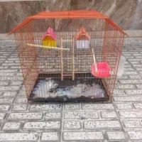 قفس پرنده