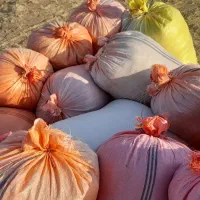 کاه عدس تعمیز وبسته بندی شده