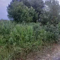 ملک-جزیزه-ای-مسکونی