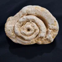 سنگ