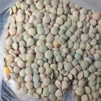 خرید و فروش کلیه محصولات کشاورزی نخود لوبیا کتان