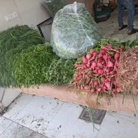 حراج سبزی