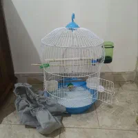 قفس همراه وسایل