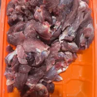 شتر مرغ|حیوانات مزرعه|شیراز, اصلاحنژاد|دیوار