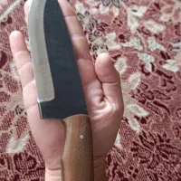 چاقپ شکاری بوشگرفت