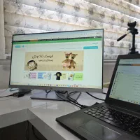 تیم طراحی سایت خسروی