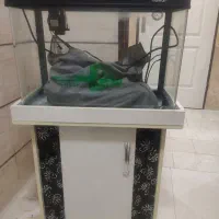 آکواریوم ماهیران