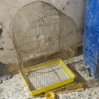 قفس پرنده