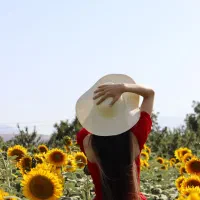 عکاس|خدمات پذیرایی، مراسم|تبریز, |دیوار