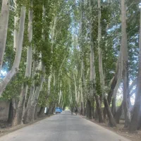 معاوضه-دو-قطعه-زمین-شهرکی-با-آپارتمان-در-تهران