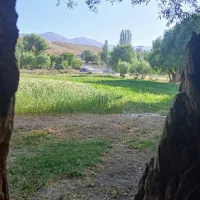 زمین-باغ-ویلا