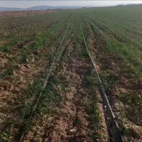 احدا ث استخر اجرا سیستمهای ابیاری قطره ای تحت فشار