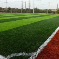 چمن مصنوعی تیم بازیکن بازی دوستانه فوتبال فوتسال
