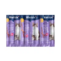 مدادی وینستون در 3 طمع 10 عددی / تاریخ تا آخر 2027