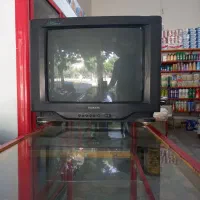 تلویزیون