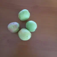 زردآلو