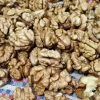 مغز گردو درجه یک