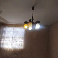 لوستر سالم