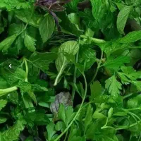 به چند نفر  خانم برای پاک کردن سبزی در کارگاه