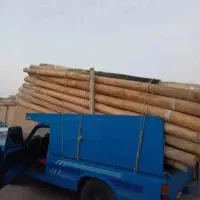 خریدوفروش‌چوب‌ودرخت‌‌کلی وجزی