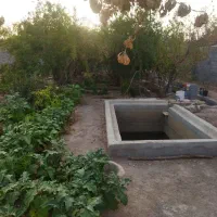 باغ فروشی در کوچه سبزه نگار راوند