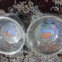 دوتا صافی نو یونیک