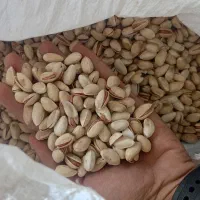 پسته|خوردنی و آشامیدنی|تهران, پردیسان|دیوار