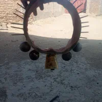 زنگوله سگ